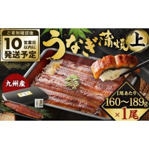 ふるさと納税 うなぎ 福岡県 北九州市 10営業...の商品画像
