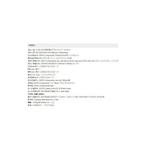 ふるさと納税 自転車 大阪府 河内長野市 マウ...の詳細画像5