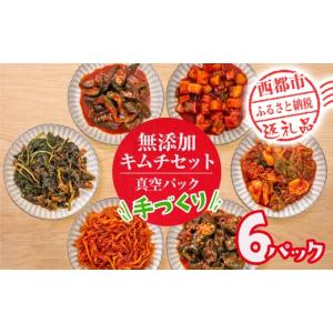 ふるさと納税 加工品等 キムチ 宮崎県 西都市 季節のお野菜でつくる 手作り無添加キムチ 6種類 キムチ食べ比べ 囲炉裏Cafe灯 高評価 人気 惣菜 きむち 漬物 韓…