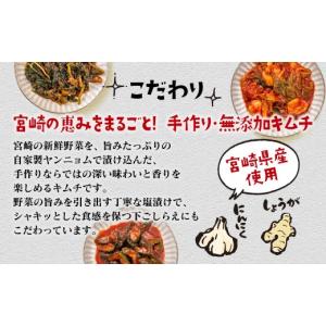 ふるさと納税 加工品等 キムチ 宮崎県 西都市...の詳細画像2