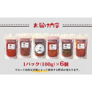 ふるさと納税 加工品等 キムチ 宮崎県 西都市...の詳細画像3