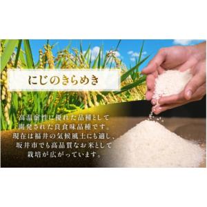 ふるさと納税 米 福井県 坂井市 先行予約 令...の詳細画像5
