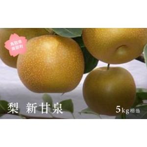 ふるさと納税 梨 鳥取県 南部町 YA02 新甘...の商品画像