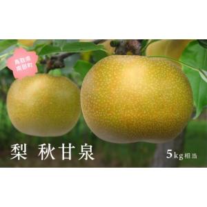 ふるさと納税 梨 鳥取県 南部町 YA05 秋甘泉［梨］（5kg箱）2026年9月出荷予定 数量限定