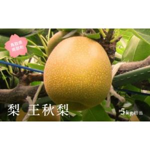 ふるさと納税 梨 鳥取県 南部町 YA09 王秋梨（5kg箱） 2026年10月下旬出荷予定 数量限定 先行予約