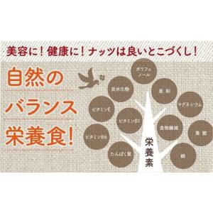 ふるさと納税 加工品等 宮崎県 都城市 栄養満...の詳細画像2