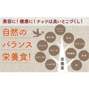 ふるさと納税 加工品等 宮崎県 都城市 栄養満...の詳細画像2