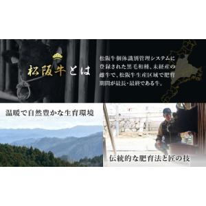 ふるさと納税 牛肉 ステーキ 三重県 明和町 ...の詳細画像5