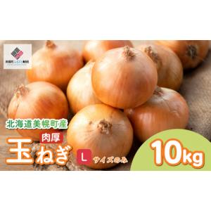 ふるさと納税 野菜類 玉ねぎ 北海道 美幌町  2026年10月上旬以降発送 美幌産 たまねぎ Lサイズ 10kg 令和8年度産 ／ タマネギ 玉ねぎ 玉ネギ 玉葱 オニオン ス…
