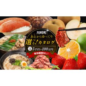 ふるさと納税 カタログ 福岡県 川崎町 あとから選べる カタログギフト 60万円 有効期限なし 後から選べる オンラインカタログ 高評価 福岡県 川崎町 訳あり あ…