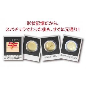 ふるさと納税 美容 神奈川県 横浜市 ストレピ...の詳細画像5