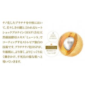 ふるさと納税 美容 神奈川県 横浜市 ストレピ...の詳細画像3