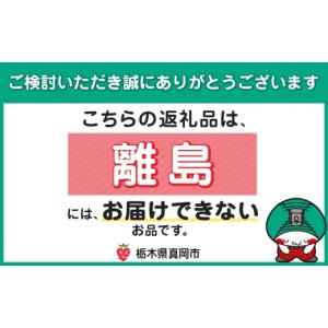 ふるさと納税 加工品等 栃木県 真岡市 定期便...の詳細画像5