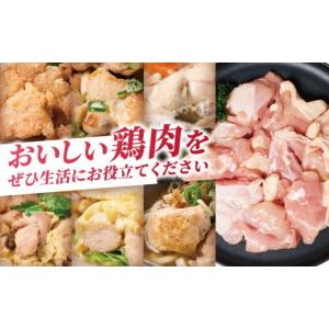 ふるさと納税 鶏肉 モモ 熊本県 八代市 九州...の詳細画像2