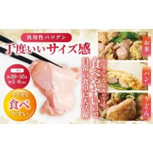 ふるさと納税 鶏肉 モモ 熊本県 八代市 九州...の詳細画像5