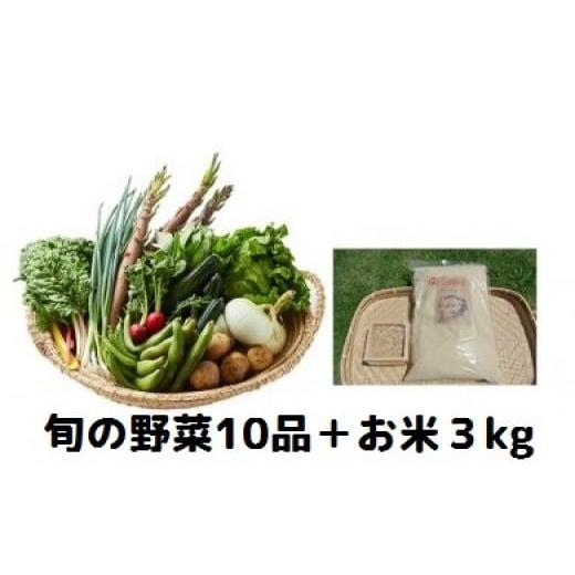 ふるさと納税 静岡県 南伊豆町 湯の花　旬の野菜とお米３kgセット