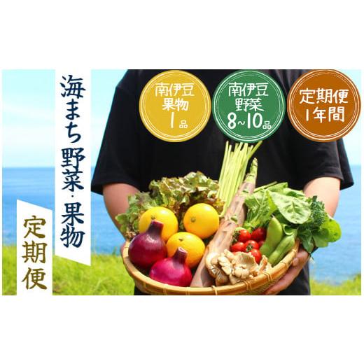 ふるさと納税 静岡県 南伊豆町 湯の花　旬の野菜と果物セット１年間の定期便　柑橘 果物 野菜 静岡県...