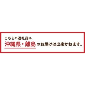 ふるさと納税 電化製品 山梨県 忍野村 キャリ...の詳細画像5