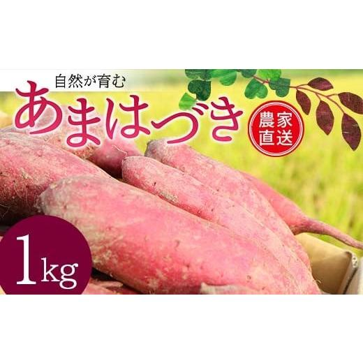 ふるさと納税 野菜類 サツマイモ 山形県 新庄市 <2026年秋収穫分 先行予約> 自然が育む『あま...