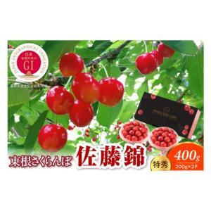 ふるさと納税 果物類 さくらんぼ 山形県 東根市...の商品画像