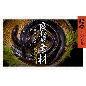 ふるさと納税 うなぎ 鹿児島県 鹿屋市 7営業...の詳細画像5