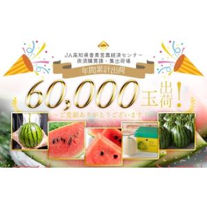 ふるさと納税 スイカ 高知県 香南市 〈定期便...の詳細画像2