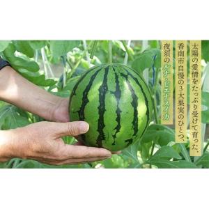 ふるさと納税 スイカ 高知県 香南市 〈定期便...の詳細画像3