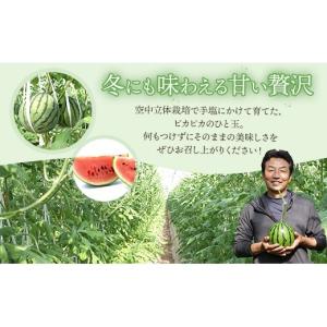ふるさと納税 スイカ 高知県 香南市 〈定期便...の詳細画像4