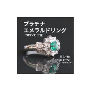 ふるさと納税 アクセサリー 山梨県 山梨市 プラ...の商品画像