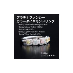 ふるさと納税 アクセサリー 山梨県 山梨市 プ...の詳細画像1