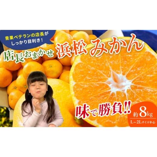 ふるさと納税 果物類 みかん 静岡県 浜松市  訳あり 店長おまかせ浜松みかん 約8kg サイズL〜...