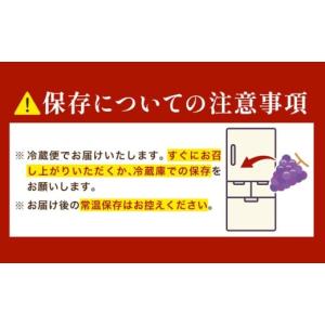 ふるさと納税 ぶどう マスカット 岡山県 笠岡...の詳細画像5