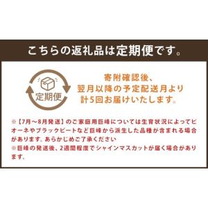 ふるさと納税 ぶどう 巨峰 長崎県 時津町 定...の詳細画像2