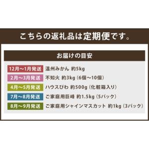 ふるさと納税 ぶどう 巨峰 長崎県 時津町 定...の詳細画像3