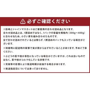 ふるさと納税 ぶどう 巨峰 長崎県 時津町 定...の詳細画像4