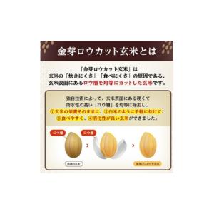 ふるさと納税 玄米 埼玉県 坂戸市 金芽ロウカ...の詳細画像2
