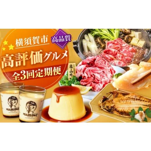 ふるさと納税 自治体にお任せ 神奈川県 横須賀市  全3回定期便 横須賀 高評価 定期便 AKZZ0...