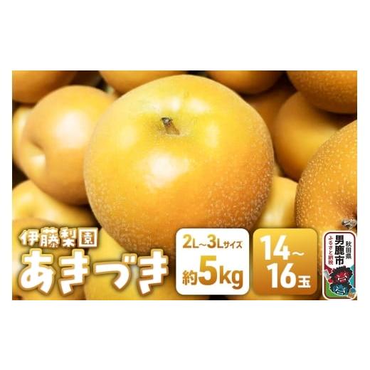 ふるさと納税 梨 秋田県 男鹿市  先行受付 男鹿梨 あきづき 梨 約5kg 「伊藤梨園」 2L〜3...