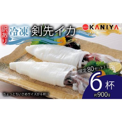 ふるさと納税 イカ 山口県 下関市  80セット 限定 訳あり イカ 剣先イカ 約 900g 冷凍 ...