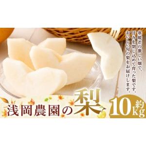ふるさと納税 梨 大分県 九重町 浅岡農園の梨 約10kg 梨 なし ナシ くだもの 果物 フルーツ 果実 和梨 王秋 にっこり 愛宕 大分県 九重町 2026年11月下旬発送…