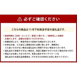 ふるさと納税 梨 大分県 九重町 浅岡農園の梨...の詳細画像2