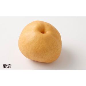 ふるさと納税 梨 大分県 九重町 浅岡農園の梨...の詳細画像3