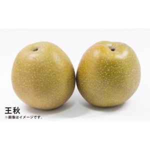 ふるさと納税 梨 大分県 九重町 浅岡農園の梨...の詳細画像4