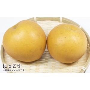 ふるさと納税 梨 大分県 九重町 浅岡農園の梨...の詳細画像5