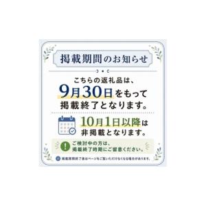 ふるさと納税 パソコン・周辺機器 神奈川県 綾...の詳細画像5
