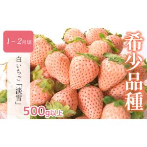 ふるさと納税 果物の詰合せ 熊本県 玉名市 定...の詳細画像2