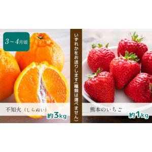 ふるさと納税 果物の詰合せ 熊本県 玉名市 定...の詳細画像3