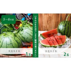 ふるさと納税 果物の詰合せ 熊本県 玉名市 定...の詳細画像4