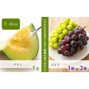 ふるさと納税 果物の詰合せ 熊本県 玉名市 定...の詳細画像5