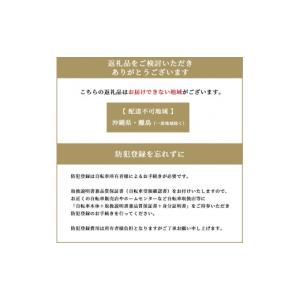 ふるさと納税 自転車 シティサイクル 大阪府 ...の詳細画像5